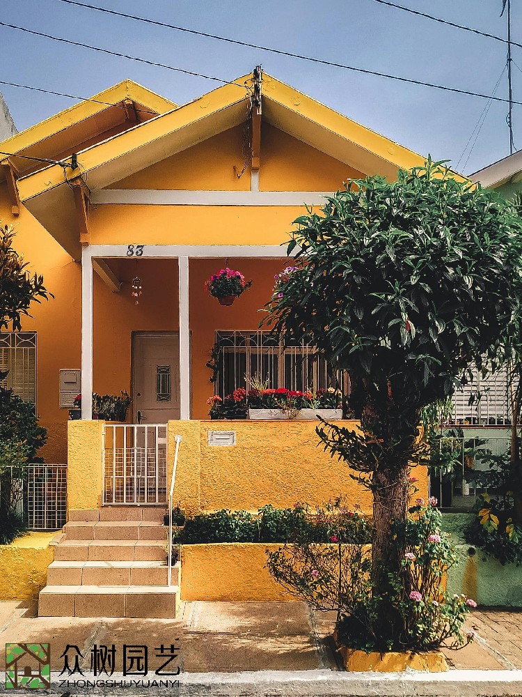 蘇州綠植花卉租擺公司：塑造綠色辦公環(huán)境，引領(lǐng)生態(tài)時(shí)尚的租擺新潮流