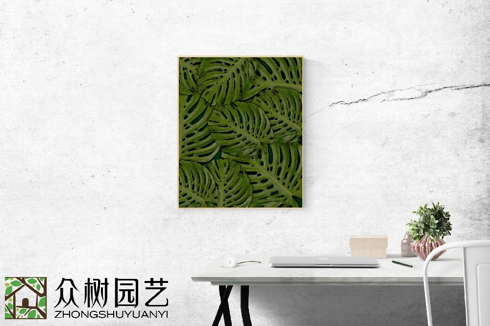 蘇州綠植租擺哪家好？揭秘城市綠林的優(yōu)選選擇